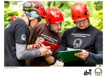 Mistrzostwa Polski we Wspinaczce Drzewnej