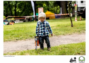 Mistrzostwa Polski we Wspinaczce Drzewnej