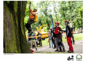 Mistrzostwa Polski we Wspinaczce Drzewnej