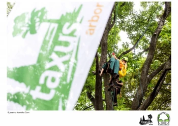 Mistrzostwa Polski we Wspinaczce Drzewnej