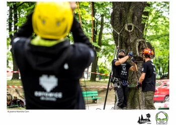 Mistrzostwa Polski we Wspinaczce Drzewnej