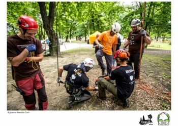 Mistrzostwa Polski we Wspinaczce Drzewnej