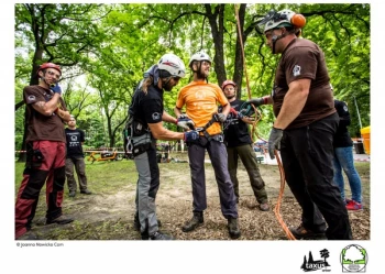 Mistrzostwa Polski we Wspinaczce Drzewnej