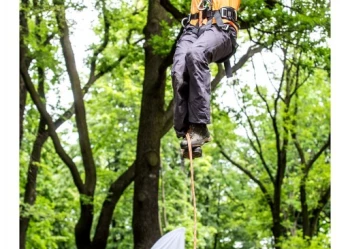 Mistrzostwa Polski we Wspinaczce Drzewnej