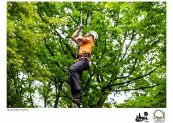 Mistrzostwa Polski we Wspinaczce Drzewnej