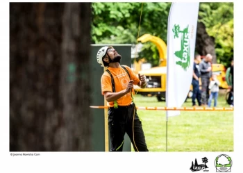 Mistrzostwa Polski we Wspinaczce Drzewnej