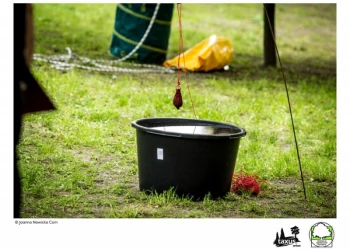 Mistrzostwa Polski we Wspinaczce Drzewnej