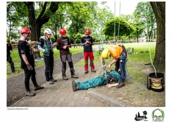Mistrzostwa Polski we Wspinaczce Drzewnej