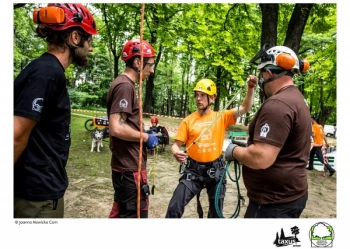 Mistrzostwa Polski we Wspinaczce Drzewnej