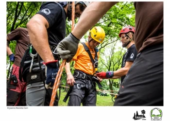 Mistrzostwa Polski we Wspinaczce Drzewnej