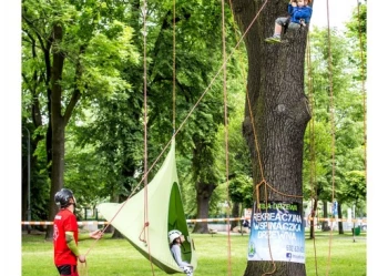 Mistrzostwa Polski we Wspinaczce Drzewnej