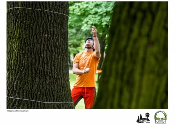 Mistrzostwa Polski we Wspinaczce Drzewnej