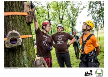 Mistrzostwa Polski we Wspinaczce Drzewnej