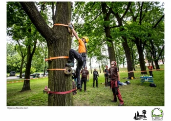 Mistrzostwa Polski we Wspinaczce Drzewnej