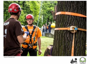 Mistrzostwa Polski we Wspinaczce Drzewnej
