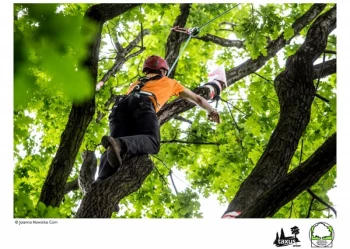 Mistrzostwa Polski we Wspinaczce Drzewnej