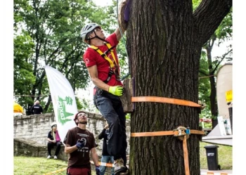 Mistrzostwa Polski we Wspinaczce Drzewnej
