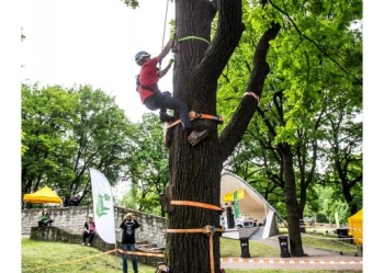 Mistrzostwa Polski we Wspinaczce Drzewnej
