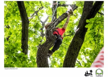 Mistrzostwa Polski we Wspinaczce Drzewnej