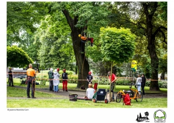 Mistrzostwa Polski we Wspinaczce Drzewnej