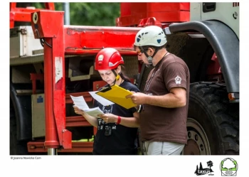 Mistrzostwa Polski we Wspinaczce Drzewnej