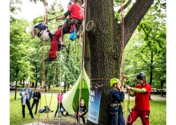 Mistrzostwa Polski we Wspinaczce Drzewnej