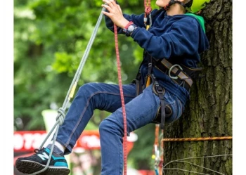Mistrzostwa Polski we Wspinaczce Drzewnej