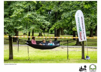 Mistrzostwa Polski we Wspinaczce Drzewnej