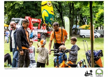 Mistrzostwa Polski we Wspinaczce Drzewnej