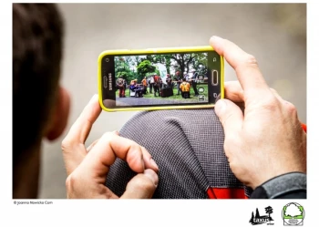 Mistrzostwa Polski we Wspinaczce Drzewnej