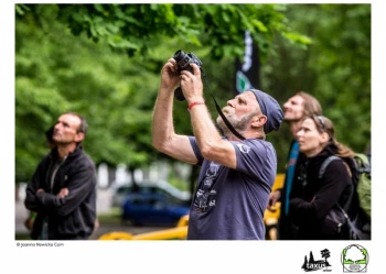 Mistrzostwa Polski we Wspinaczce Drzewnej