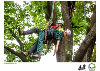 Mistrzostwa Polski we Wspinaczce Drzewnej