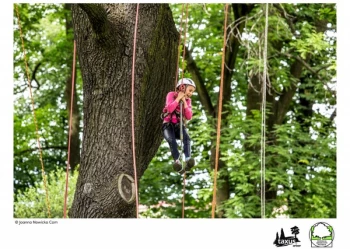 Mistrzostwa Polski we Wspinaczce Drzewnej