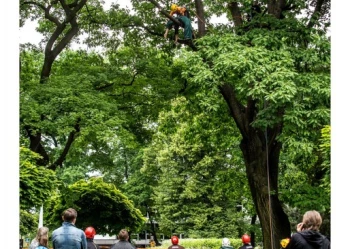 Mistrzostwa Polski we Wspinaczce Drzewnej