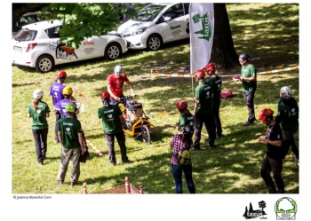 Mistrzostwa Polski we Wspinaczce Drzewnej