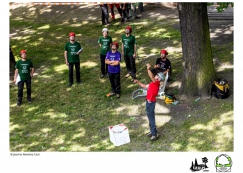 Mistrzostwa Polski we Wspinaczce Drzewnej