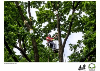 Mistrzostwa Polski we Wspinaczce Drzewnej