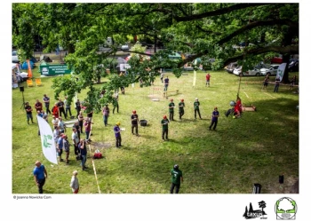 Mistrzostwa Polski we Wspinaczce Drzewnej