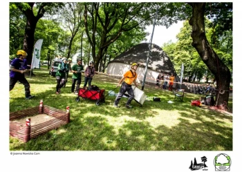 Mistrzostwa Polski we Wspinaczce Drzewnej