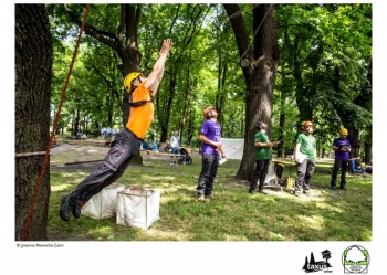 Mistrzostwa Polski we Wspinaczce Drzewnej