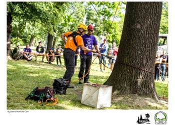 Mistrzostwa Polski we Wspinaczce Drzewnej