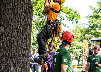 Mistrzostwa Polski we Wspinaczce Drzewnej