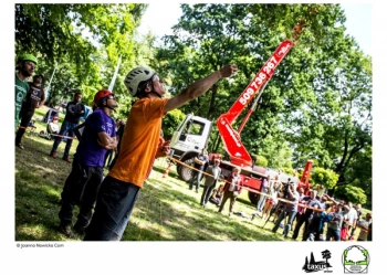 Mistrzostwa Polski we Wspinaczce Drzewnej