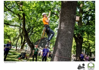 Mistrzostwa Polski we Wspinaczce Drzewnej