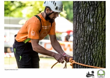 Mistrzostwa Polski we Wspinaczce Drzewnej
