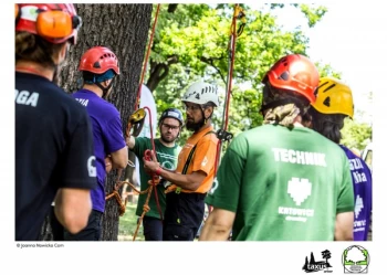 Mistrzostwa Polski we Wspinaczce Drzewnej