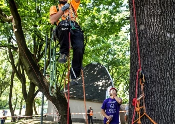 Mistrzostwa Polski we Wspinaczce Drzewnej