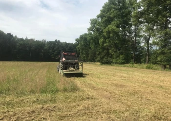 Pielęgnacja terenów zieleni