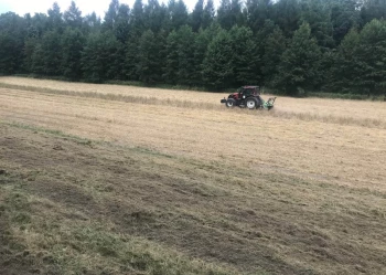 Pielęgnacja terenów zieleni