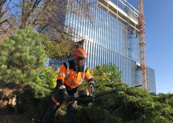 Pielęgnacja terenów zieleni